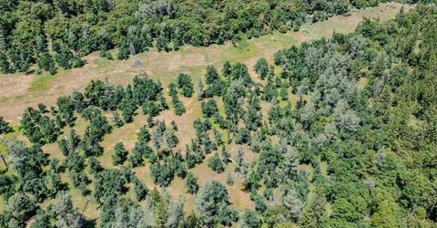 Please Call For Address, Pioneer, CA 95666 Photo