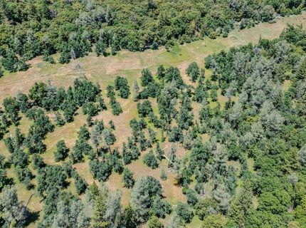 Please Call For Address, Pioneer, CA 95666 Photo