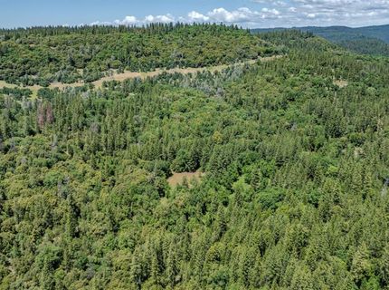 Please Call For Address, Pioneer, CA 95666 Photo