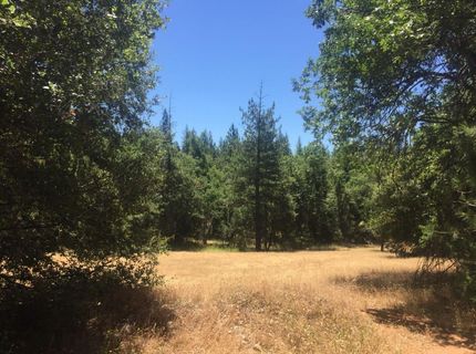 Please Call For Address, Pioneer, CA 95666 Photo