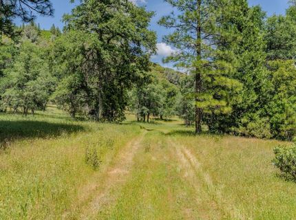 Please Call For Address, Pioneer, CA 95666 Photo