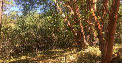 Please Call For Address, Pioneer, CA 95666 Photo