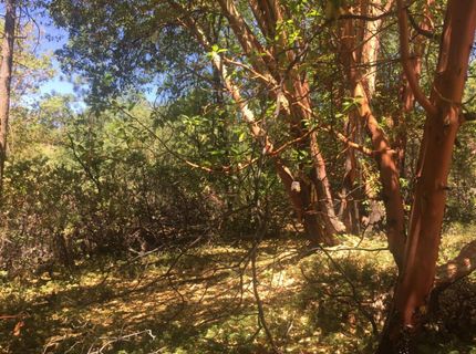 Please Call For Address, Pioneer, CA 95666 Photo