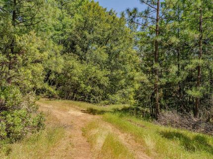 Please Call For Address, Pioneer, CA 95666 Photo