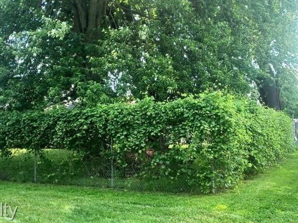 9999 24th St., Port Huron Twp, MI 48060