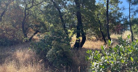 20790 Indian Dr, Colfax, CA 95713 Photo