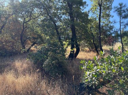 20790 Indian Dr, Colfax, CA 95713 Photo