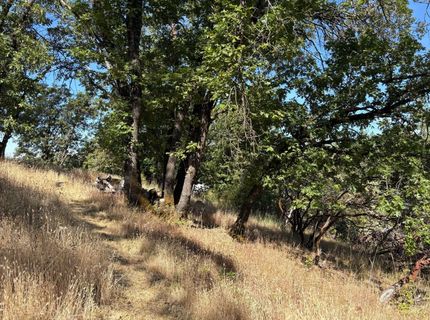 20790 Indian Dr, Colfax, CA 95713 Photo