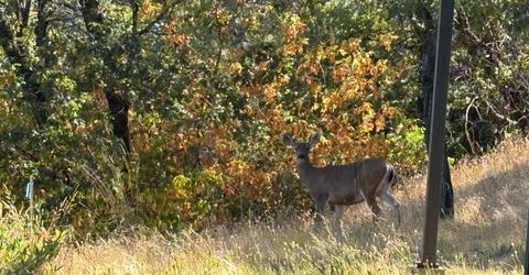 20790 Indian Dr, Colfax, CA 95713 Photo