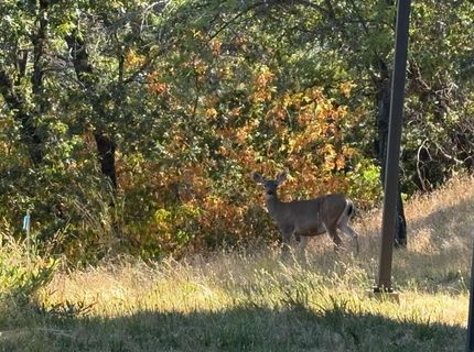 20790 Indian Dr, Colfax, CA 95713 Photo