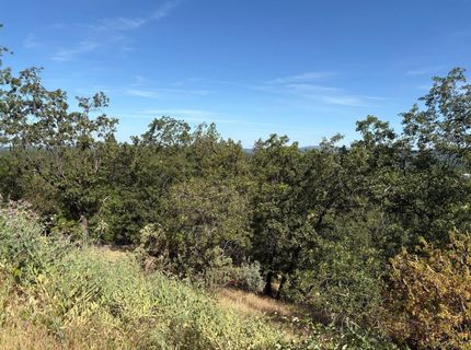 20790 Indian Dr, Colfax, CA 95713 Photo