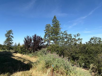 20790 Indian Dr, Colfax, CA 95713 Photo