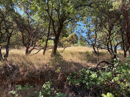 20790 Indian Dr, Colfax, CA 95713 Photo