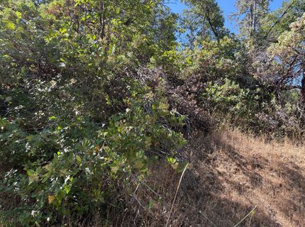 20790 Indian Dr, Colfax, CA 95713 Photo