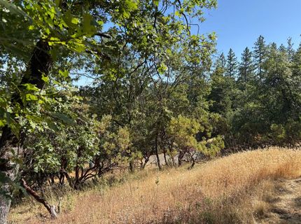 20790 Indian Dr, Colfax, CA 95713 Photo