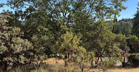 20790 Indian Dr, Colfax, CA 95713 Photo