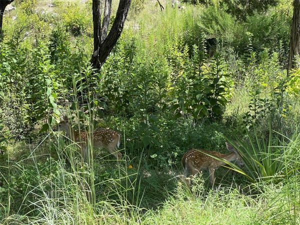 4908 Arrowhead DR, Lago Vista, TX 78645