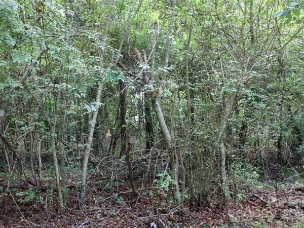 0 Whispering Pines Circle, Forest City, NC 28043