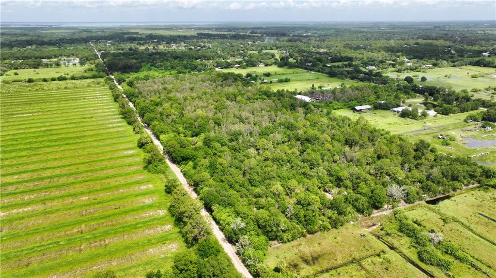 13380 101st Street, Fellsmere, FL 32948 Photo