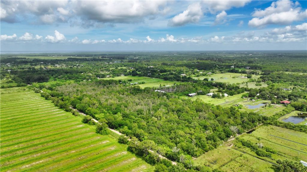 13380 101st Street, Fellsmere, FL 32948 Photo