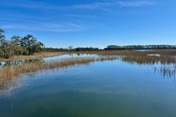 1171 Ship Builder Street photo 4