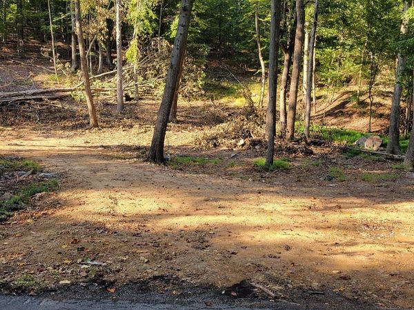 AUDUBON LANE LOTS 6 & 7, HEDGESVILLE, WV 25427