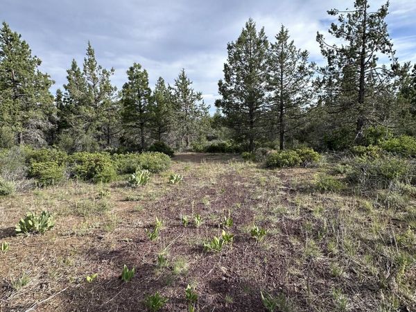 Porpoise Lane, Unit Lot 29, Bonanza, OR 97623
