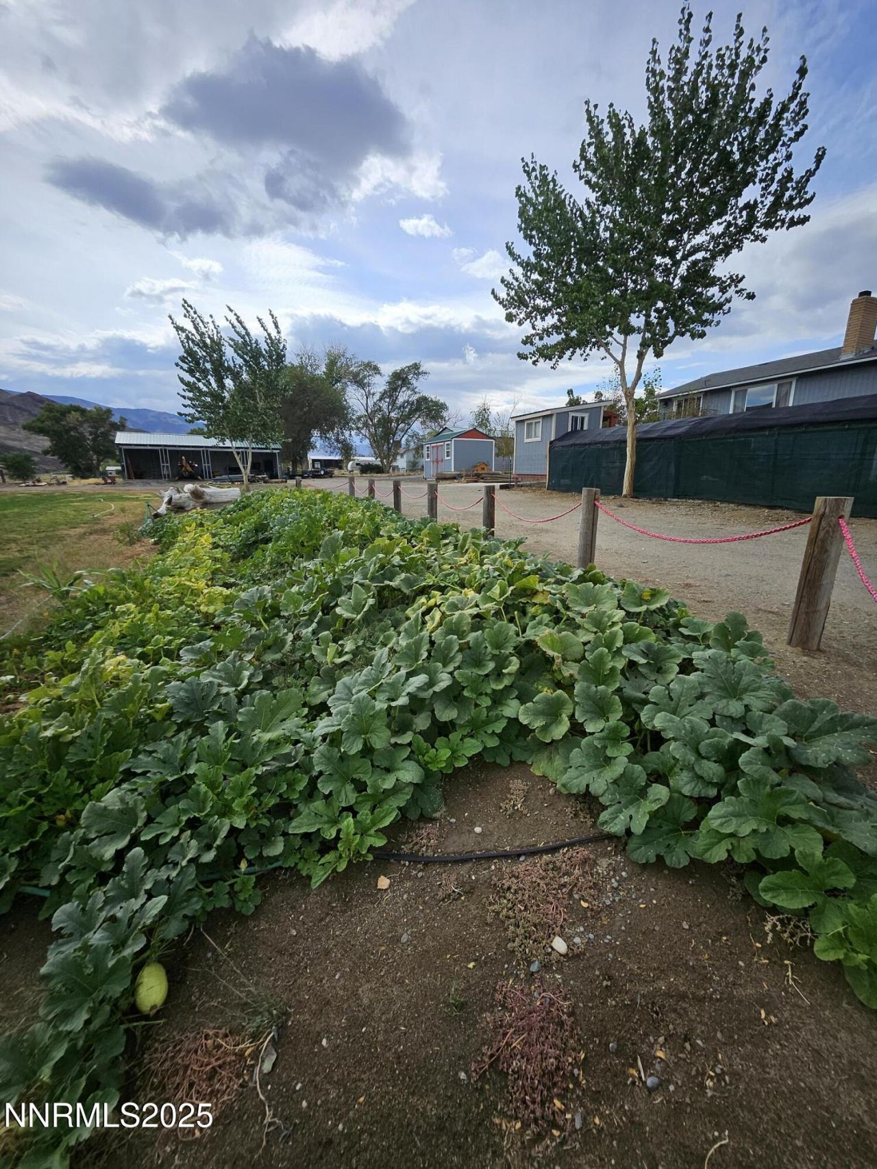 31850 Cantlon Drive, Wadsworth, NV 89442 Photo