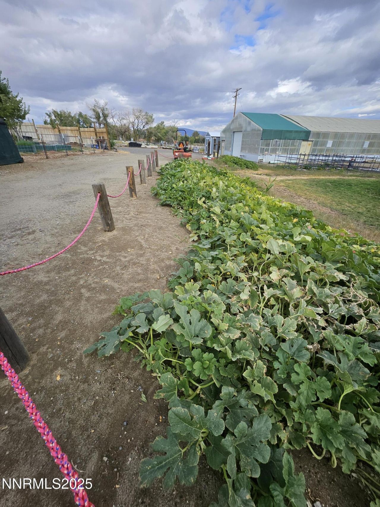 31850 Cantlon Drive, Wadsworth, NV 89442 Photo