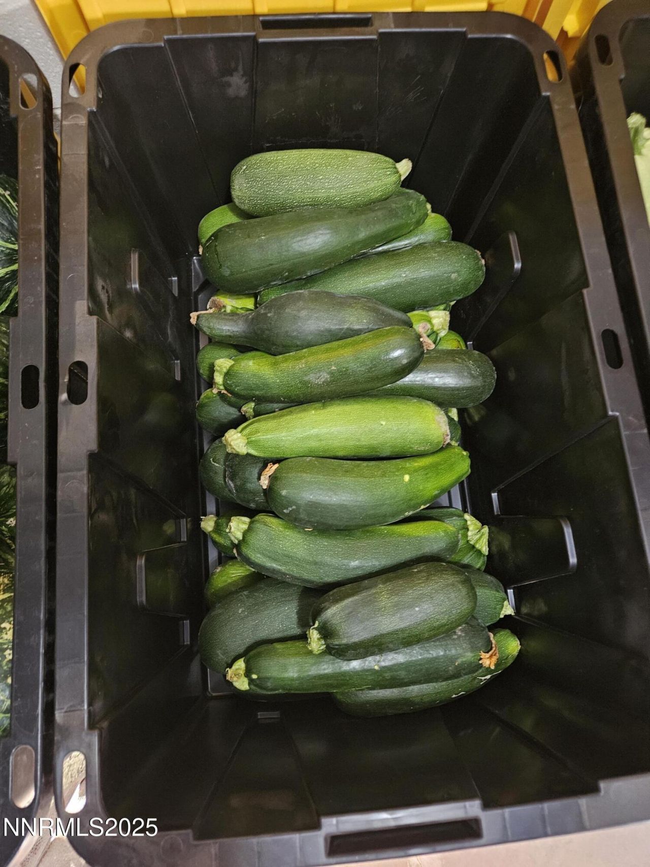 31850 Cantlon Drive, Wadsworth, NV 89442 Photo