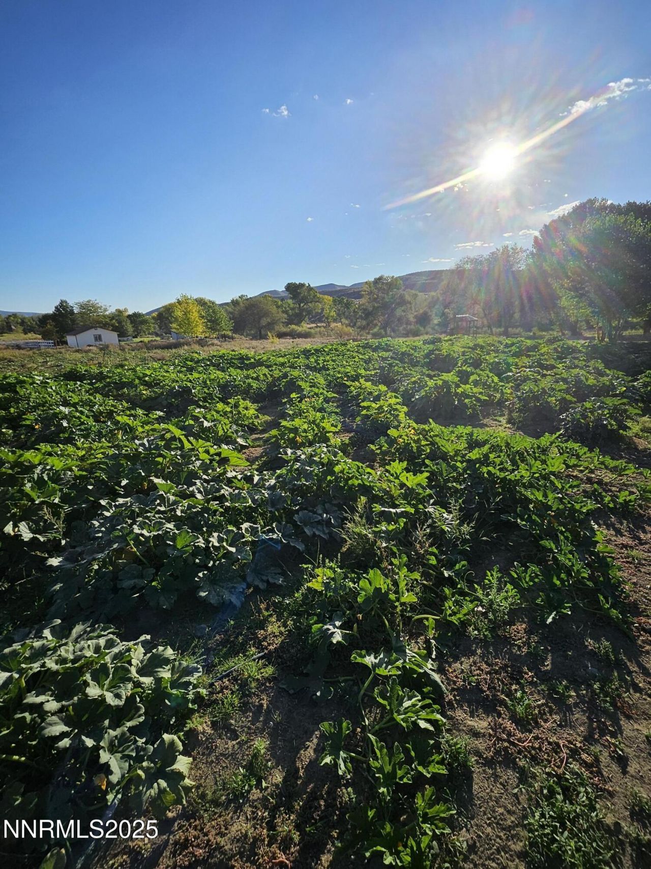 31850 Cantlon Drive, Wadsworth, NV 89442 Photo