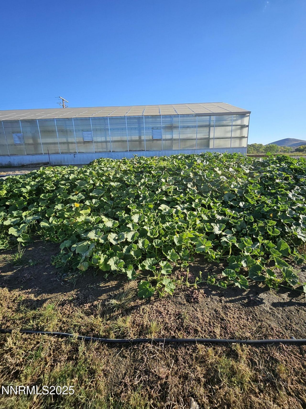 31850 Cantlon Drive, Wadsworth, NV 89442 Photo