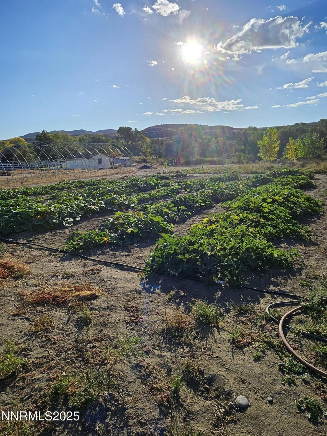 31850 Cantlon Drive, Wadsworth, NV 89442 Photo