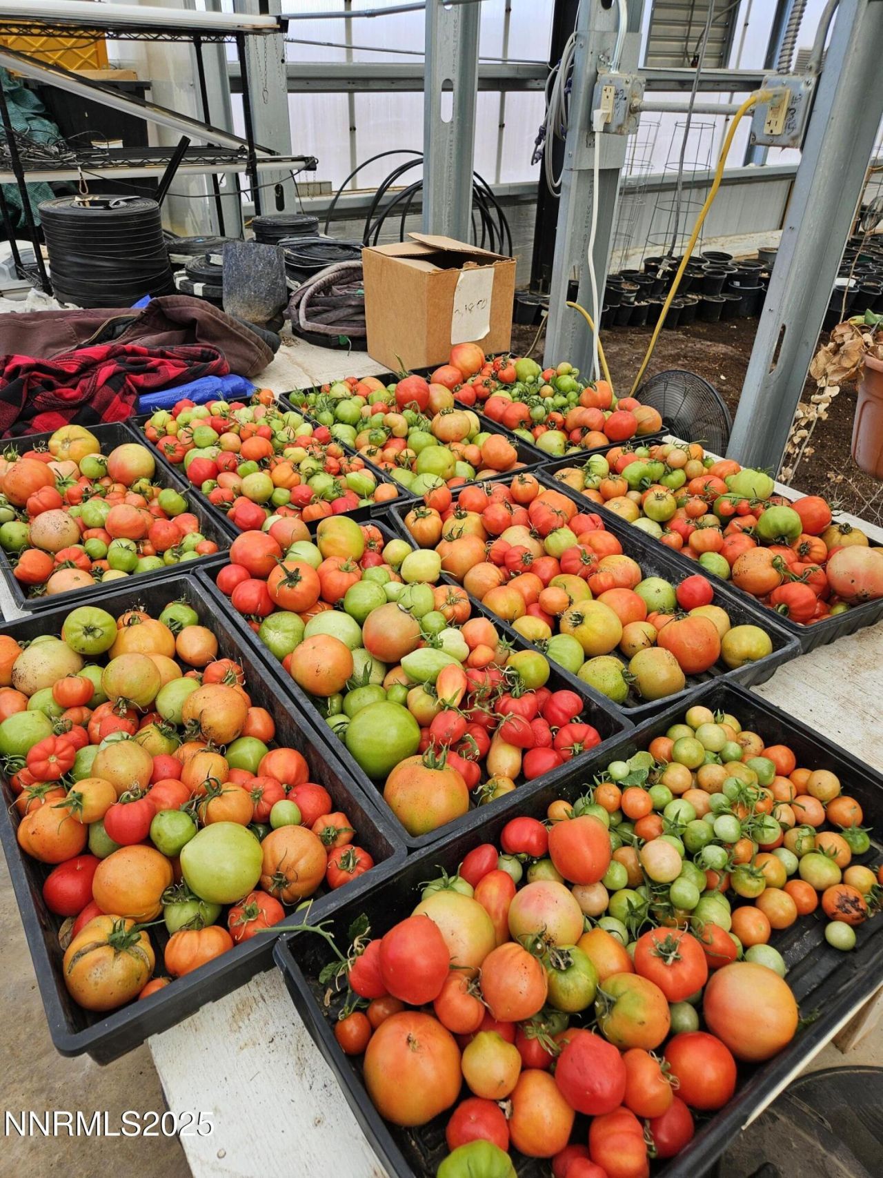 31850 Cantlon Drive, Wadsworth, NV 89442 Photo