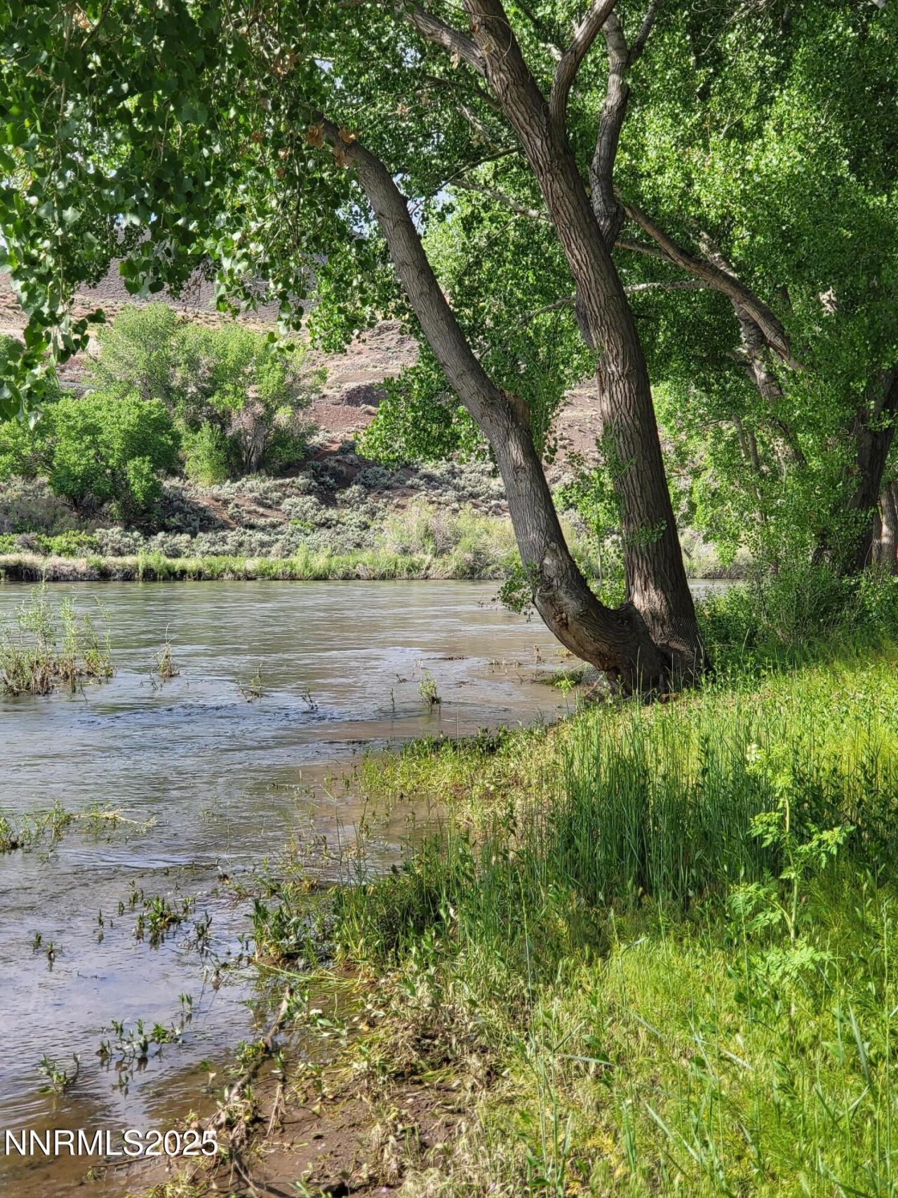 31850 Cantlon Drive, Wadsworth, NV 89442 Photo