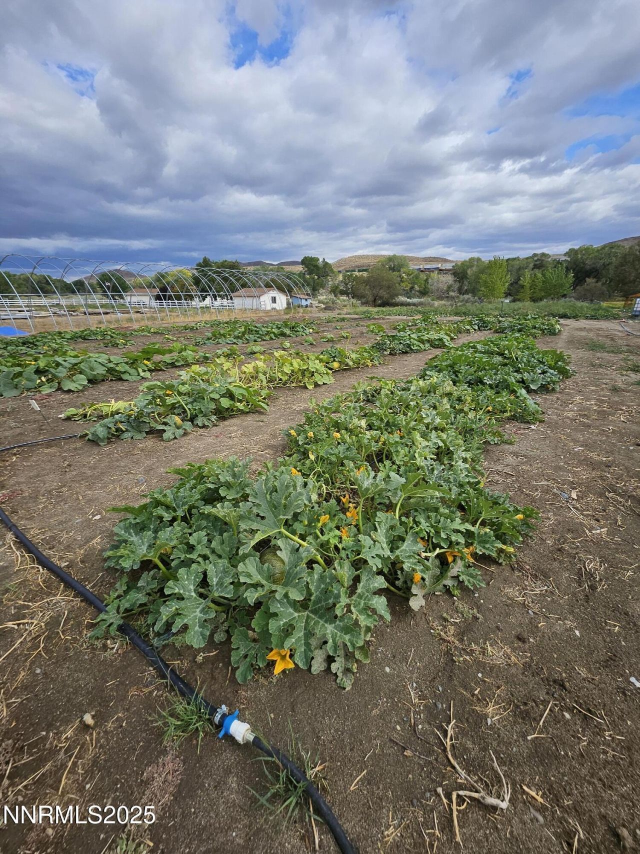 31850 Cantlon Drive, Wadsworth, NV 89442 Photo