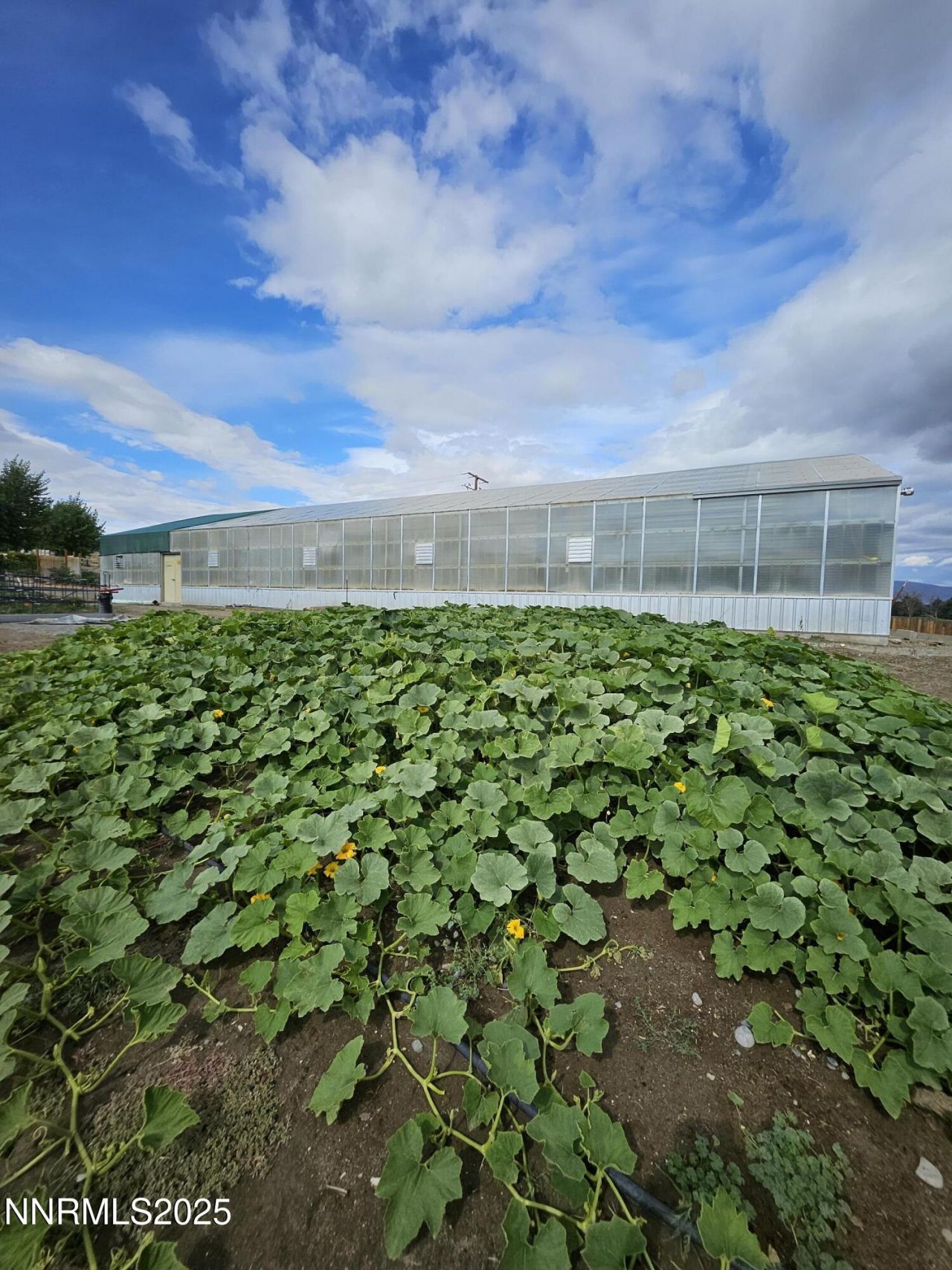 31850 Cantlon Drive, Wadsworth, NV 89442 Photo