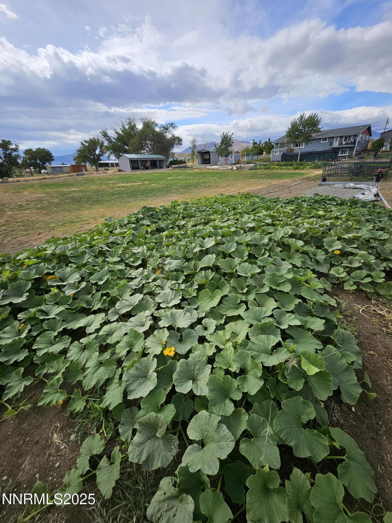 31850 Cantlon Drive, Wadsworth, NV 89442 Photo