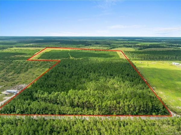 0 Rea Road, DeRidder, LA 70634