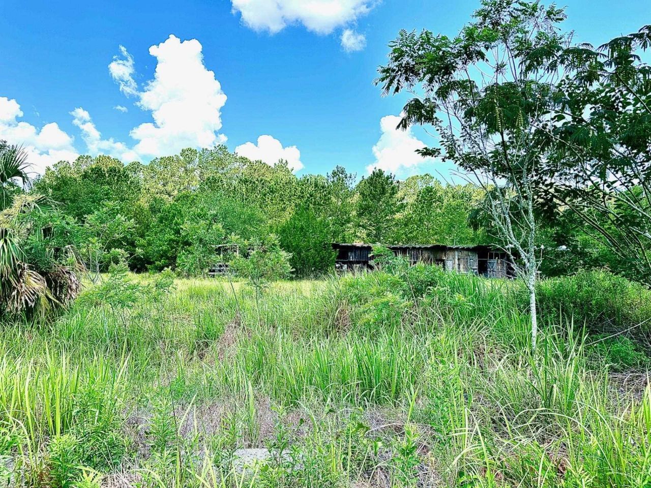 2836 Coastal Highway, Crawfordville, FL 32327 Photo