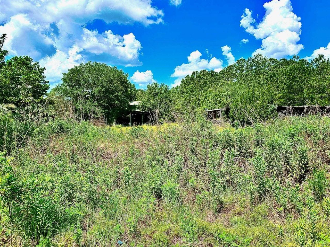 2836 Coastal Highway, Crawfordville, FL 32327 Photo