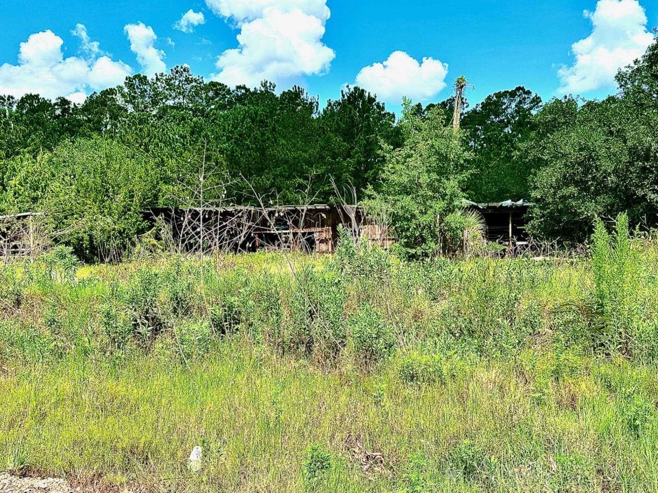 2836 Coastal Highway, Crawfordville, FL 32327 Photo