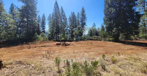 Emigrant Gap, Emigrant Gap, CA 95715 Photo