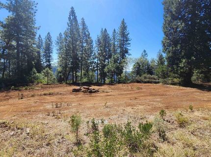 Emigrant Gap, Emigrant Gap, CA 95715 Photo