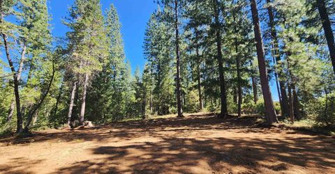 Emigrant Gap, Emigrant Gap, CA 95715 Photo