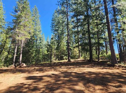 Emigrant Gap, Emigrant Gap, CA 95715 Photo