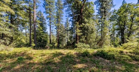Emigrant Gap, Emigrant Gap, CA 95715 Photo