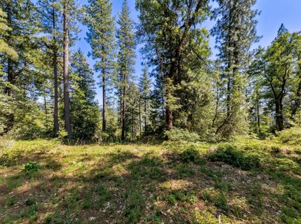 Emigrant Gap, Emigrant Gap, CA 95715 Photo