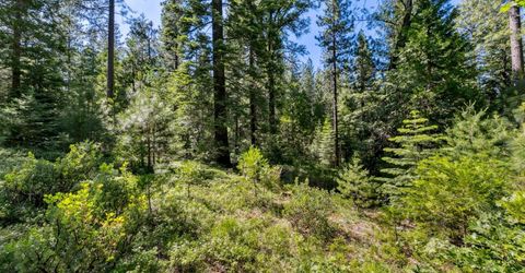 Emigrant Gap, Emigrant Gap, CA 95715 Photo