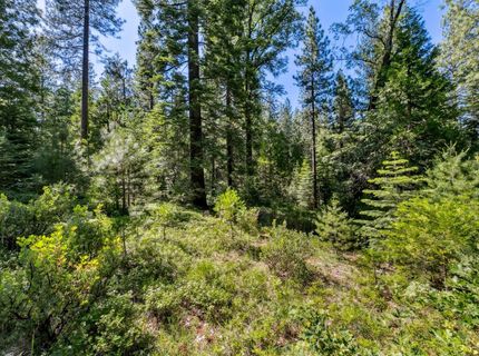 Emigrant Gap, Emigrant Gap, CA 95715 Photo